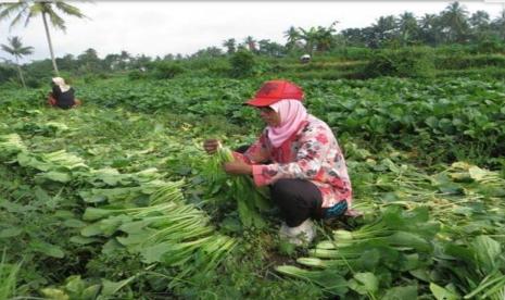 Kementan menggandeng sejumlah startup untuk memasarkan produk hortikultura.