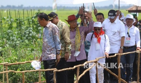 Kementan menggelar puncak peringatan Hari Pangan Sedunia (HPS) ke-38 tahun 2018 di tengah lahan rawa yang dimanfaatkan sebagai lahan pertanian produktif di Desa Jejangkit Muara, Barito Kuala, Kalimantan Selatan, Kamis (18/10).