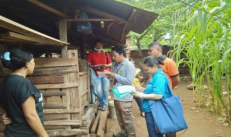 Kementan telah menurunkan tim ke 8 titik lokasi untuk investigasi kematian Babi di NTT