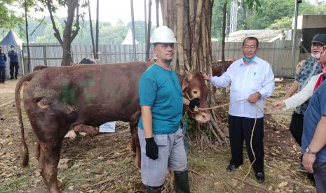 Kementerian Agama (Kemenag) menyerahkan seekor sapi qurban kepada Badan Pengelola Masjid Istiqlal (BPMI).