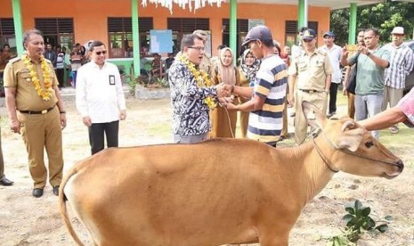 Kementerian Desa, Pembangunan Daerah Tertinggal, dan Transmigrasi (Kemendes PDTT) menyerahkan bantuan 330 ekor ternak sapi kepada warga transmigran di eks Unit Permukiman Transmigrasi (UPT) Gindopo, Kabupaten Toli-Toli, Sulawesi Tengah, Senin (16/9). 