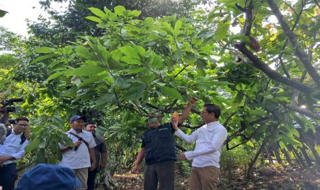 Kementerian Keuangan menggelar Press Tour di Gunung Kidul, Yogyakarta, Kamis (2/5/2024). 