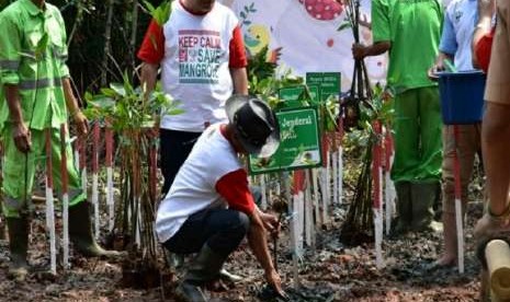 Kementerian Lingkungan Hidup dan Kehutanan, menggelar kegiatan penanaman Mangrove yang dipimpin  Direktur Jenderal Pengendalian Daerah Aliran Sungai dan Hutan Lindung (PDASHL), Ida Bagus Putera Parthama,