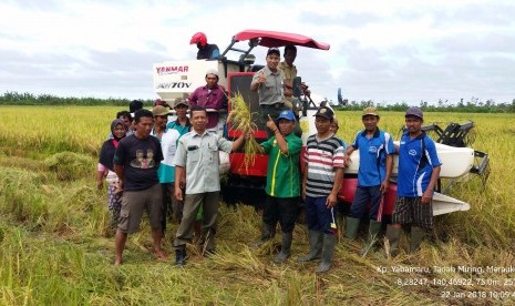 Petani di Merauke. Perusahaan Umum (Perum) Bulog Kantor Wilayah Papua dan Papua Barat mengatakan realisasi serapan beras masih sangat rendah. 