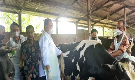 Kementerian Pertanian (Kementan) bersama dengan Pemerintah Daerah Provinsi Jawa Timur hari ini Selasa (14/6/2022) mulai melakukan kegiatan vaksinasi massal dalam upaya pengendalian Penyakit Mulut dan Kuku (PMK).