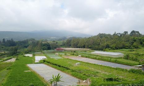 Kementerian Pertanian (Kementan) melalui Direktorat Jenderal (Ditjen) Hortikultura menargetkan pembangunan 2.358 kampung hortikultura yang tersebar secara merata di seluruh Indonesia. Program tersebut masuk dalam kegiatan utama Ditjen Hortikultura untuk Tahun Anggaran 2022 mendatang.