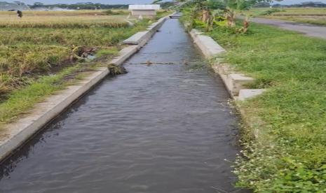 Kementerian Pertanian (Kementan) memastikan akan melakukan gerak cepat mengantisipasi kemungkinan adanya iklim ekstrim yang mempengaruhi jalannya produksi pangan. Salah satunya di Kabupaten Serdang Bedagai, Sumatra Utara (Sumut) tepatnya di wilayah Daerah Irigasi (DI) Sei Ular yang sedang dilaksanakan rehabilitasi saluran sekunder oleh Balai Wilayah Sungai Sumatra II (BWS). 