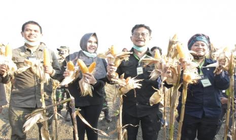 Kementerian Pertanian (Kementan) menargetkan penanaman jagung tahun 2020 seluas 4,49 juta hektar dengan produktivitas lebih tinggi. Salah satu terobosan yang dijalankan yakni mendorong penggunaan varietas jagung berproduksi tinggi di kawasan sentra jagung sehingga produktivitas jagung nasional meningkat.