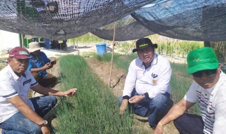 Kementerian Pertanian (Kementan) mendorong Kabupaten Konawe Selatan, Sulawesi Tenggara untuk menjadi sebagai lumbung komoditas hortikultura nasional.