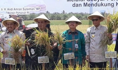 Kementerian Pertanian (Kementan) menggelar Gebyar Perbenihan Tanaman Pangan Tingkat Nasional VI Tahun 2018 yang dilaksanakan pada 23 - 26 Oktober 2018 di Maros, Sulawesi Selatan