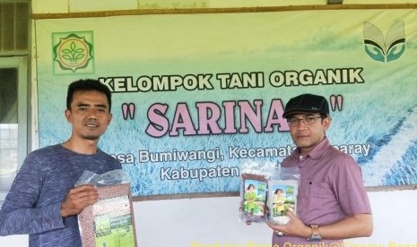 Kementerian Pertanian (Kementan) sedang mengembangkan pertanian sistem organik.