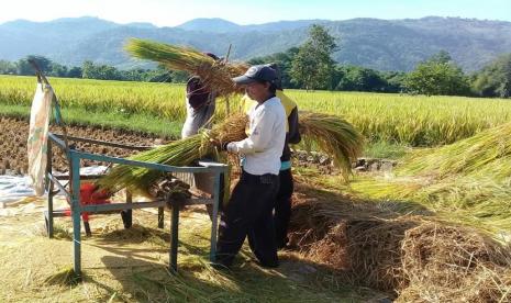 Kementerian Pertanian (Kementan) tengah mengembangkan kawasan korporasi tanaman pangan banyak kabupaten untuk memperkuat kelembagaan petani melalui model bisnis yang dilakukan secara berkelompok. Oleh karena itu, kemarin Kamis di Bogor (24/9), sosialisasi dan peningkatan SDM korporasi tanaman pangan yang menghadir perwakilan wilayah yang akan menjadi pilot project Program Pengembangan Kawasan Tanaman Pangan Berbasis Korporasi atau lebih dikenal dengan Propaktani.