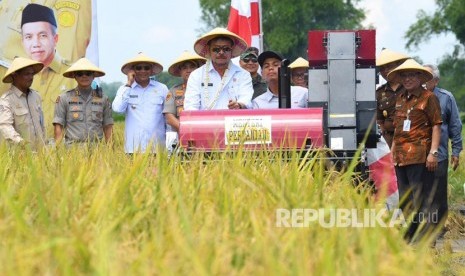 Kementerian Pertanian (Kementan) yang dikomandoi Menteri Pertanian Syahrul Yasin Limpo (SYL) terus berupaya meningkatkan investasi pada sektor pertanian. Kementan  mengupayakan pada peningkatan investasi pertanian melalui Penanaman Modal Dalam Negeri (PMDN).