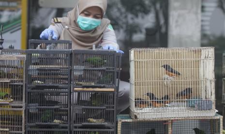 Kementerian Pertanian melalui Balai Karantina Pertanian Surabaya menggagalkan penyelundupan 259 ekor burung tanpa dokumen asal Balikpapan.