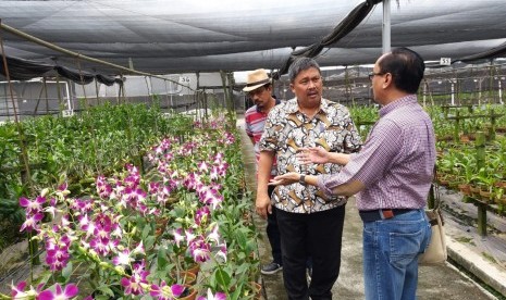 Kementerian Pertanian melalui Direktorat Jenderal Hortikultura terus mendorong pelaku bisnis anggrek untuk memperluas segmen pasarnya terutama ekspor. 