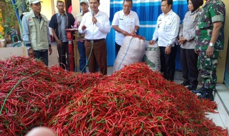 Kementerian Pertanian meluncurkan pasar lelang cabai di Desa Wadung, Kecamatan Jenu, Kabupaten Tuban