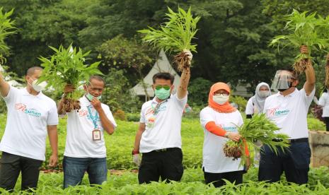 Kementerian Pertanian menegaskan saat ini produksi komoditas pangan dalam kondisi aman, terutama menghadapi lebaran tahun 2021. Kuntoro Boga Andri Kepala Biro Humas dan Informasi Publik Kementan, mengatakan berbagai langkah strategis produksi dan distribusi pangan telah dipersiapkan Kementan.