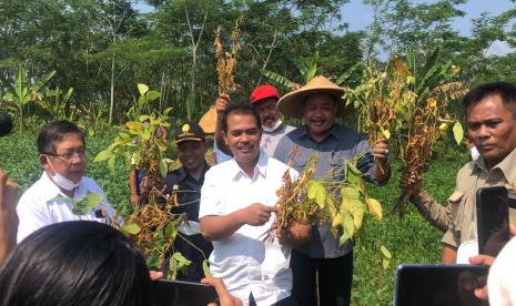 Kementerian Pertanian terus bergerak meskipun masih dalam suasana Hari Raya Idul Fitri. Kementan terus mengontrol ketersediaan 12 pangan strategis tetap aman dan juga melakukan kunjungan kerja ke beberapa tempat guna memastikan kegiatan pertanian tetap berjalan agar produksi pertanian terus meningkat.