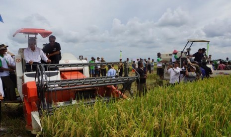 Kementrian pertanian bersama Komisi IV panen padi di Indramayu.