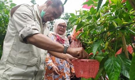 Kepala Badan Ketahanan Pangan Kementerian Pertanian, Agung Hendriadi saat mengunjungi KWT. Kepala BKP nilai ketahanan pangan saat pandemi harus dijaga hingga level rumah tangga