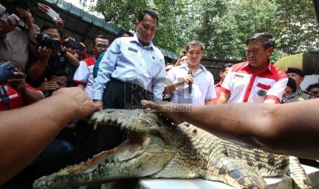 Kepala Badan Narkotika Nasional Komjen Budi Waseso.