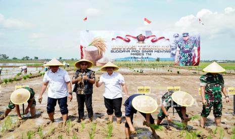 Kepala Badan Pangan Nasional/National Food Agency (NFA) memastikan akan menyerap seluruh hasil panen petani dengan harga yang cukup tinggi.