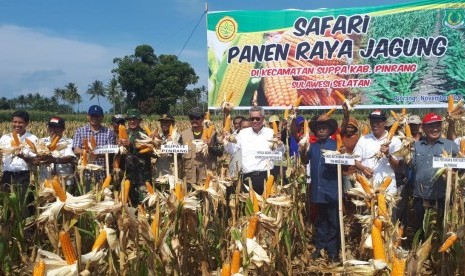 Kepala Badan Penelitian dan Pengembangan Pertanian (Balitbangtan) Andi Muhammad Syakir safari panen ke Kabupaten Pinrang dan Wajo, Ahad (11/11)