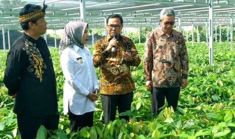 Kepala Badan Penelitian dan Pengembangan Pertanian (Balitbangtan) Kementerian Pertanian (Kementan) Muhammad Syakir, Bupati Kabupaten Bandung Dadang M Naser, dan Bupati Kabupaten Serang Ratu Tatu Chasanah menijau benih perkebunan di Balai Penelitian Tanaman Industri dan Penyegar (Balittri), Sukabumi, Jawa Barat, Senin (24/9). 