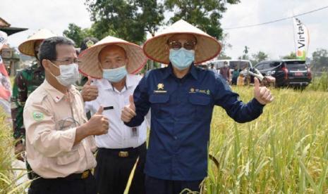 Kepala BPPSDMP Kementan, Dedi Nursyamsi (kanan) pada kunjungan kerja di Kabupaten Banyuasin, Sumsel. Dedi Nursyamsi mengatakan penangkaran benih padi vital untuk pemberdayaan dan kemandirian petani agar berdaya saing, khususnya melalui SL IPDMIP bagi petani di daerah irigasi (DI) pada 74 kabupaten di 16 provinsi.