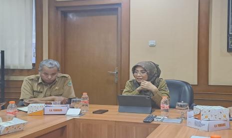 Kepala Dinas Energi dan Sumber Daya Mineral (ESDM) Jabar, Ai Saadiyah Dwidaningsih memberikan keterangan kepada wartawan, Senin petang (5/6/2023).