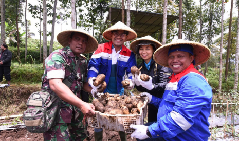  Kepala Dinas Pertanian Garut Beni Ypga G, Vice President CSR & SMEPP PT Pertamina (Persero) Agus Mashud, dan GM PGE Area Kampjang Wawan Darmawan ikut melakukan Panen Raya Kentang di Garut.