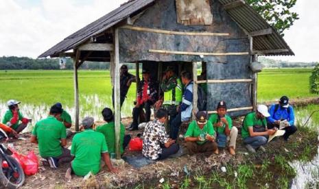 Kepala Dinas Pertanian Pemerintah Kabupaten Tulang Bawang (Tuba) saat meninjau kegiatan Sekolah Lapang (SL) IPDMIP di Kecamatan Gedung Aji dan Gedung Aji Baru, Kamis (13/8).