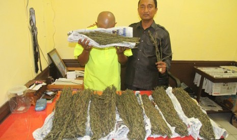 Kepala Satuan Narkoba Polres Aceh Timur AKP Ildani Ilyas (kanan) memperlihatkan barang bukti ganja kering seberat 5,1 kilogram berikut tersangka pemilik berinisial HS (35) saat gelar perkara di Polres Aceh Timur, Aceh, Senin (11/4).