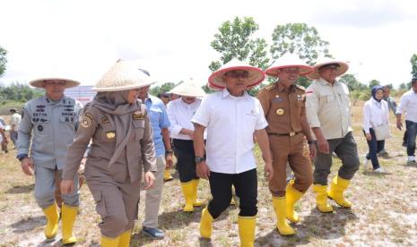 Kepala Staf Kepresidenan (KSP), Moeldoko, menyebut penanaman pohon sagu, di lahan bekas tambang timah, menjadi pilihan yang tepat untuk mengatasi permasalahan tanah bekas tambang.