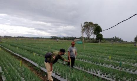 Kepala UPTD Balai Proteksi Tanaman Pangan dan Hortikultura (BPTPH) Provinsi Aceh Iriana, menyatakan BPTPH memiliki fungsi dalam pengendalian serangan OPT dan antisipasi dampak perubahan iklim (DPI). Salah satunya dengan melaksanakan gerakan pengendalian OPT bawang merah di Kecamatan Simpang Tiga, Kabupaten Pidie.