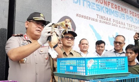 Kepolisian Daerah Jawa Timur membongkar jaringan perdagangang hewan langka, yakni aneka macam burung dan kerang dilindungi.