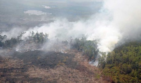 Smoke billows from plantation fire in Bengkalis, Riau. (File photo)