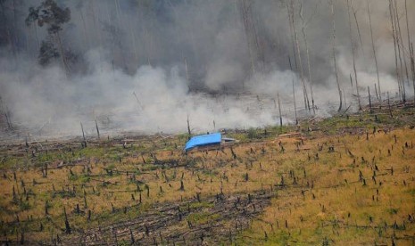   Kepulan asap dari hutan terbakar terlihat di Cagar Biosfer Giam Siak Kecil Kabupaten Bengkalis, Riau, Jumat (28/2).   (Antara/Satgas Bencana Asap Riau)