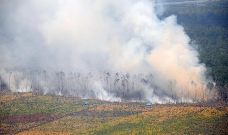  Kepulan asap dari hutan terbakar terlihat di Cagar Biosfer Giam Siak Kecil Kabupaten Bengkalis, Riau, Jumat (28/2).   (Antara/Lanud Roesmin Nurjadin)