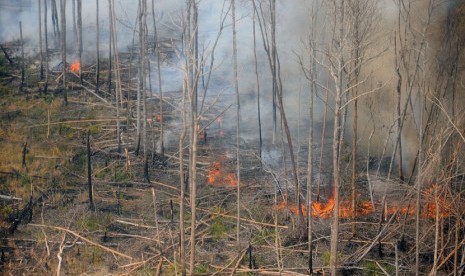  Kepulan asap dari hutan yang terbakar di Cagar Biosfer Giam Siak Kecil Kabupaten Bengkalis, Riau, Jumat (28/2).