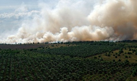 Kepulan asap membumbung di areal hutan dan lahan yang terbakar di Desa Medang Kampai, Dumai, Riau, Senin (9/8).