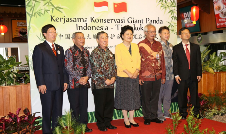 Kerja Sama konservasi Giant Panda Indonesia dengan Cina.