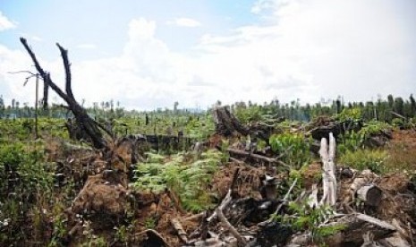 Kerusakan hutan