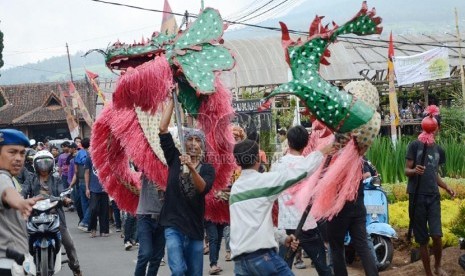   Kesenian Liong pada 'Cihideung Festival 2013' di Desa Wisata Bunga Cihideung, Kecamatan Parongpong, Kabupaten Bandung Barat, Ahad (3/11).  (Republika/Edi Yusuf)