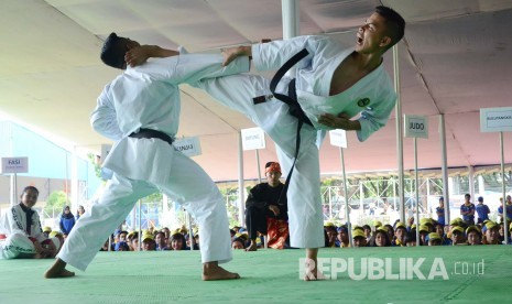 Ilustrasi cabang olahraga Karate.