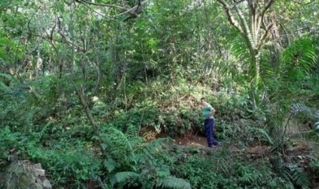 keteduhan taman di hutan kota Sangga Buana, Karang Tengah, Lebak Bulus, Jakarta Selatan