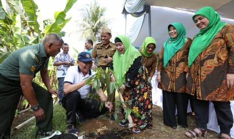 Ketua Agrianita Institut Pertanian Bogor (IPB), Hj  Enny H. Suhardiyanto SE secara simbolis melakukan penanaman 50 pohon pala.