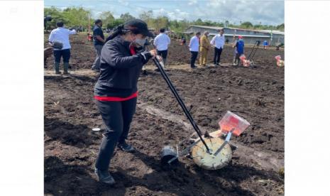  Ketua DPR RI Puan Maharani mendampingi Presiden Joko Widodo dalam kunjungan kerja di Sorong, Papua Barat. Salah satu kegiatan yang dilakukan adalah menanam jagung bersama para petani.