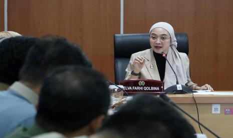 Ketua DPW PSI DKI Jakarta, Elva Farhi Qolbina.