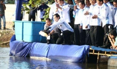 Ketua Fraksi Partai Demokrat Edhie Baskoro Yudhoyono (Ibas) melepas ikan di Situ Cipondoh Tangerang, Kamis (16/6)